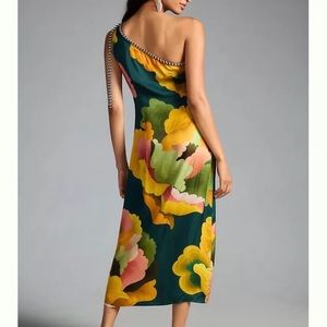 Farm Rio anthropology dress